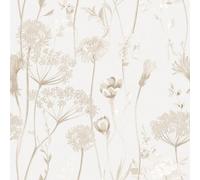 Muriva Catherine Lansfield Meadowsweet Floral Cream Wallpaper - 165586