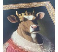 Muriva Regal Animals Quirky Animal Prints in Picture Frames Themed Modern Wallpaper for Feature Walls, Bedrooms or Restrooms Multi 102575