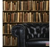 Muriva Sculpted 3D Bookcase Library Vinyl Wallpaper - Brown Finish F92338