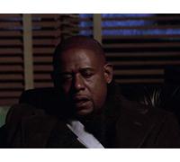 Murmurs of the Heart