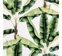 Musa Green Wallpaper Arthouse Modern Tropical Palm Jungle White