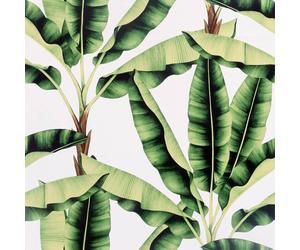 Musa Green Wallpaper Arthouse Modern Tropical Palm Jungle White