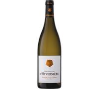 Muscadet Sèvre et Maine Sur Lie 2023 - Château de l'Hyvernière