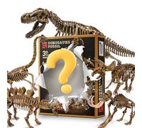MUSCCCM Dinosaur Dig Kit Random