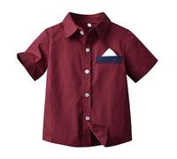 Muscle Boys Boys' Plaid Short Sleeved Shirts Small and Medium Sized Childrens Summer Cardigan Dresses Formal Dresses Going Out and being Handsome Boys Shirt Size 6 (Red, 5-6 Years)