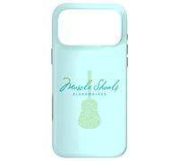 Muscle Shoals Alabama Guitar Design Case for iPhone 17 Pro Max