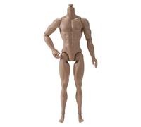 Muscular 12.20 inch Male Doll Body 13 Joint Joint Action Realistic Figure Display Art Project High Flexibility for Dance Rehearsal