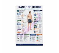 Musculoskeletal Poster ROM Limitations Contracture Assessment Decor | Helps identify restricted motion due to scar tissue swelling or joint pathology(Unframed,12x18inch(30x45cm))