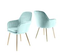 Muse - Set of 2 Accent Chairs in Velvet - Light Blue Home Garden Direct Light Blue One Size