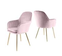 Muse - Set of 2 Accent Chairs in Velvet - Violette Tulle Home Garden Direct Violet One Size