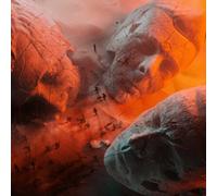 Muse Will Of The People 1LP in Black Muse Black