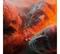 Muse : Will of the People CD (2024) NEW FREE Shipping, Save £s