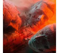 Muse - Will of the People Vinyl