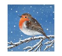 Museums And Galleries Pack of 8 Artistic Robin in the Snow On A Branch Christmas Cards by Lucy Grossmith from the Xmas Fayre Range