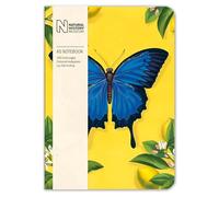 Museums & Galleries A5 Journal - Softcover Notebook - Ulysses Butterfly - Natural History Museum Design - 148 x 210mm - Artistic Stationery