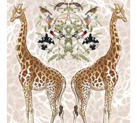 Museums & Galleries Birthday Card for Men or Women - Giraffe and Songbird Design - Natural History Collection - Blank Inside - Artistic Greeting Card