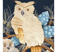 Museums & Galleries Blank Card for Women - Embroidered Owl Design - Embossed Gold Foil Finish - Premium Greeting Card with Envelope - Suitable for Birthdays & Other Occasions
