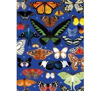 Museums & Galleries Blank Notecards Pack of 8 - Butterflies by Mary Katrantzou - Premium Greeting Cards Multipack with Envelopes