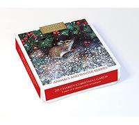 Museums & Galleries Box of 20 Artistic Charity Christmas Cards - 'Animals and Winter Berries' - 20 Cards, 5 Each of 4 Designs