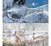 Museums & Galleries Charity Christmas Cards Pack of 20 - Assorted Designs - Animal & Countryside Theme by Lucy Grossmith - 4 x 5 Snowy Hares & Owls - Festive Cards Multipack - In Aid of UK Charities