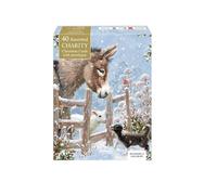 Museums & Galleries Charity Christmas Cards Pack of 40 - Assorted Artistic Designs - Christmas Greeting Cards Multipack - In Aid of UK Charities
