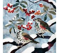 Museums and Galleries Charity Christmas Cards Pack of 5 - Charity Christmas Cards with Redwings and Rowan Design - Eco-Friendly Xmas Cards