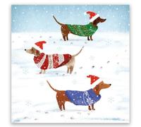 Museums & Galleries Charity Christmas Cards Pack of 8, Festive Dogs | Snowy Paw Prints by Karen Kane, Supporting The British Heart Foundation, Eco-Friendly, Made in the UK, With Envelopes