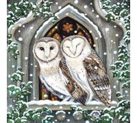 Museums & Galleries Charity Christmas Cards Pack of 8 - Lucy Grossmith Barn Owls in a Church Window - Festive Christmas Cards Multipack - In Aid of Macmillan Cancer Support