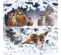 Museums & Galleries Charity Christmas Cards - Pack of 8 Premium Christmas Greeting Cards with Envelopes - Festive Owls in the Snow - Supporting UK Charities