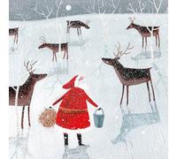 Museums & Galleries Charity Christmas Cards Pack of 8 - Santa Feeding the Reindeer Design - Festive Christmas Cards Multipack - In Aid of UK Charities