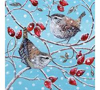 Museums & Galleries Pack of 8 Artistic Charity Christmas Cards - Wren and Rosehips - Lovely Illustration of a Winter Scene by Lucy Grossmith - 8 Cards of 1 Design