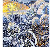 Museums & Galleries Charity Christmas Cards - Winter Garden - Eco-Friendly & Recyclable - Pack of 5 Cards