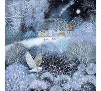 Museums & Galleries Christmas Cards (MG-349152 XPH) Winter Garden - Pack of 5 Cards - Classics Range