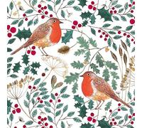 Museums & Galleries Christmas Cards Pack of 5 - Winter Dreaming Robins and Berries - Eco-Friendly and Recyclable