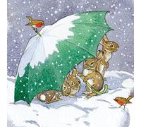 Museums & Galleries Christmas Cards - Pack of 8 Premium Christmas Greeting Cards with Envelopes - Festive Rabbits & Robins in The Snow