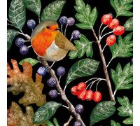 Museums & Galleries Christmas Cards Pack of 8 - Robin and Frosty Berries - Eco-Friendly and Recyclable