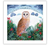 Museums & Galleries Christmas Cards Pack of 8 - Winter Barn Owl Design - Festive Christmas Cards Multipack