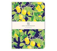 Museums & Galleries Emily Burningham Lemon Grove A5 Notebook