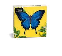 Museums & Galleries Natural History Museum Ulysses Butterfly 8 Mini Notecards Wallet