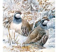 Museums & Galleries Pack of 8 Artistic Charity Christmas Cards (288949-XAE) from Partridge in The Snow by David Feather - 8 Cards of 1 Design