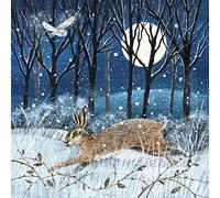 Museums & Galleries Pack of 8 Artistic Charity Christmas Cards - Hare, Moon and Owl - Lovely Illustration of a Winter Woodland Scene by Lucy Grossmith - 8 Cards of 1 Design