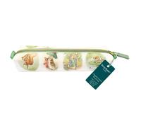 Museums & Galleries Peter Rabbit & Friends by Beatrix Potter Pencil Case