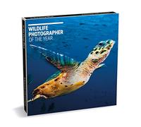 Museums & Galleries Wildlife Photographer of the Year In the Deep Blue 8 Square Notecards Wallet