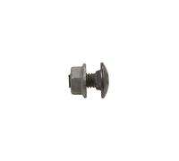 Mushroom Bolt with Nut M6x12 FRSB 6X12 F 6406122/100pcs KTS