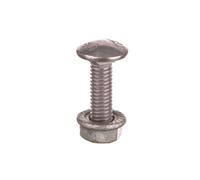 Mushroom bolt with nut M6x20 FRSB 6x20 F 6406203/100pcs KTS