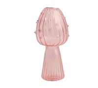 Mushroom Pots, Mushroom Propagation Pot,Small Glass Flower Pots | Decorative Plant Propagation Station for Home Study Indoor Table Decoration