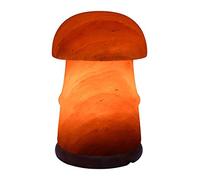 Mushroom Shape Electric Himalayan Salt Table LAMP Crystal Rock Natural IONISER