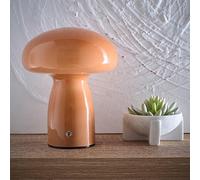 Mushroom Toadstool Glass Table Lamp in White, Duck Egg Blue, Green, Lemon, Mocha and Brown - Rechargeable Lamps (Brown)