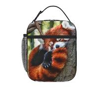 Mushroom068 Insulated Lunch Bag Sleeping Red Panda Lunch Box Zipper Soft Bag Reusable Lunch Bag for Work, Outdoor