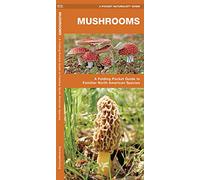 Mushrooms: A Folding Pocket Guide to Familiar North American Species (A Pocket Naturalist Guide) (Pocket Naturalist Guide Series)